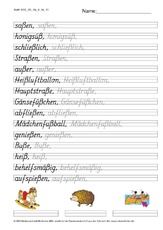 DSS_2S_Bu_ß_Nr_10.pdf